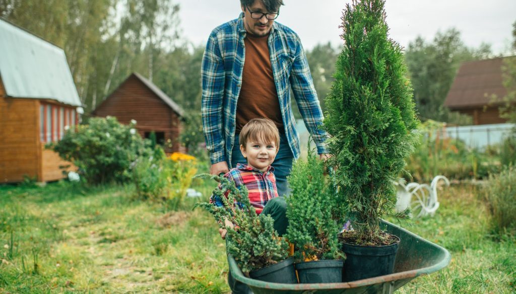 Man pushing child in wheel barrow in garden