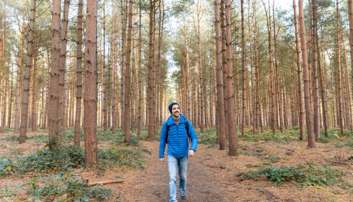 Man walking on a path in the forest hiking and exploring wild remote areas