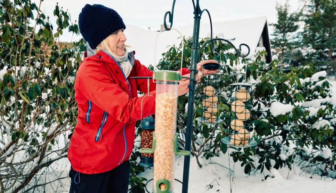 Woman refilling her bird feeders in winter